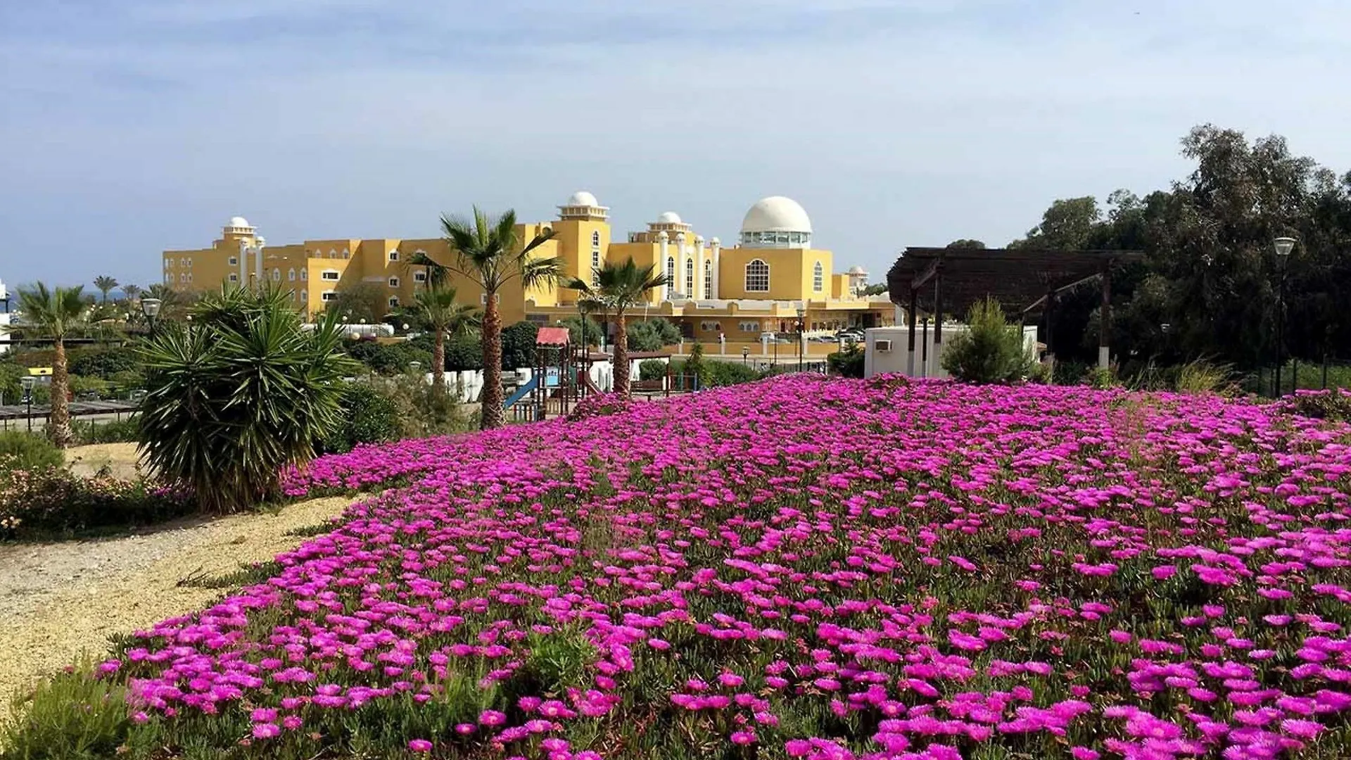 106448 - Apartment In Vera Spain